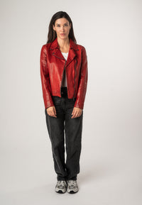 1101-0681 red