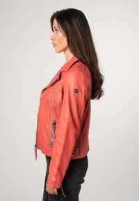 1101-0683 coral